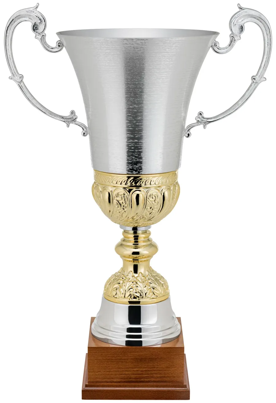 obrazek 1 Przepiękny puchar sportowy