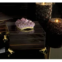 Picture Ebony box with amethyst and nickel accessories