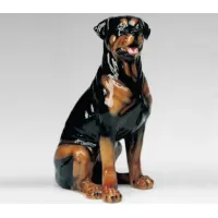 Zdjęcie Rottweiler figura - Il Gattopardo
