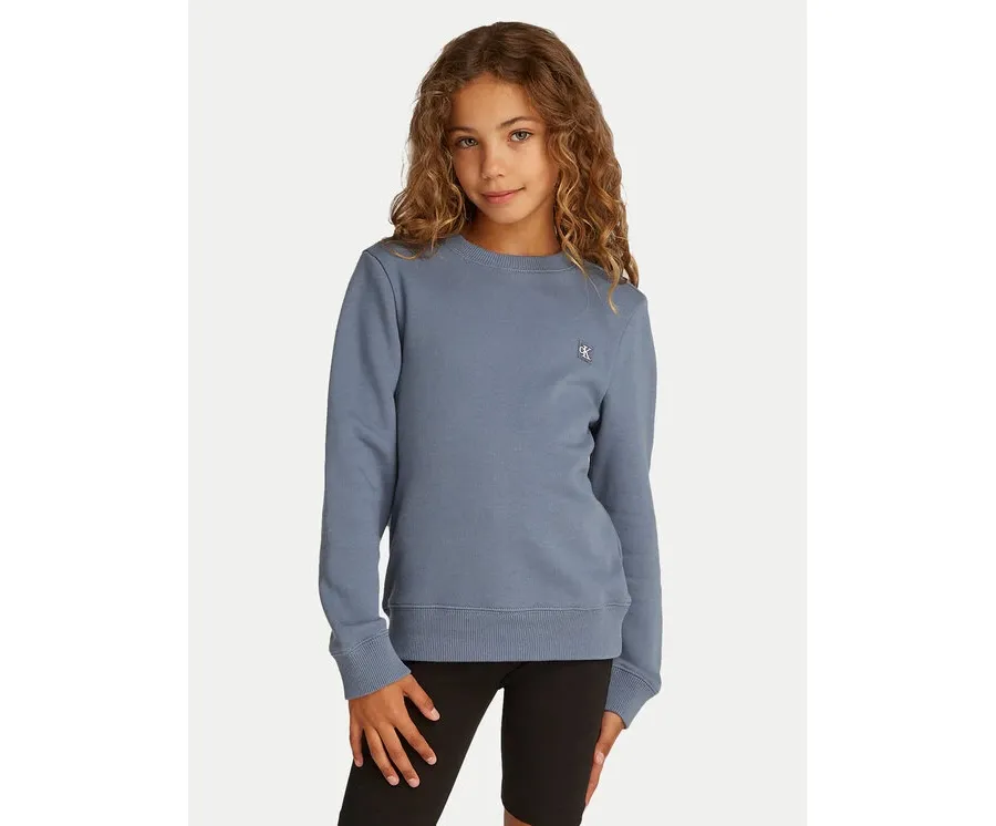 obrazek 1 Calvin Klein Jeans Bluza Mono Mini Badge IU0IU00570 Szary Regular Fit