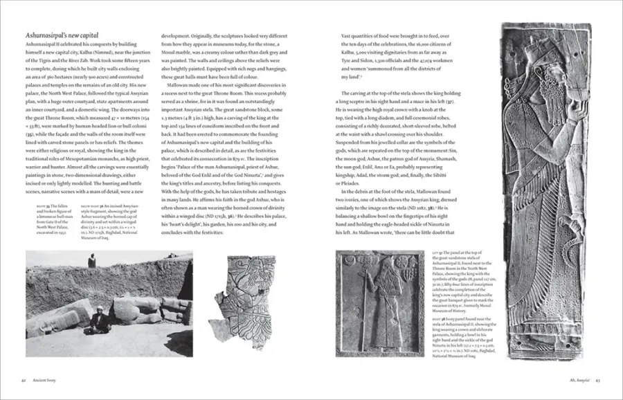 obrazek 6 Książka Ancient Ivory Arcydzieła Imperium Asyryjskiego - Thames & Hudson