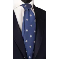 Picture Stylish blue tie for men as a gift
