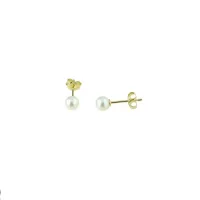 Picture Unique feminine pearl earrings
