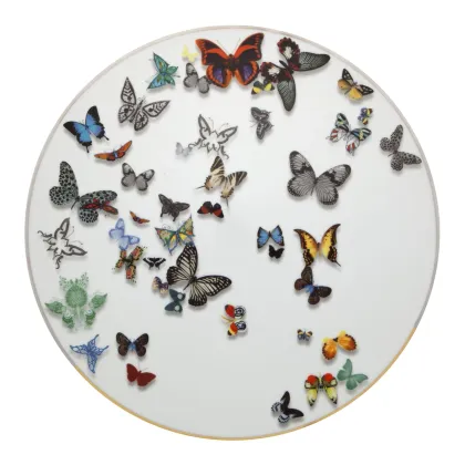 Zdjęcie Luksusowy porcelanowy talerz-półmisek z kolekcji Parada Motyli - Vista Alegre