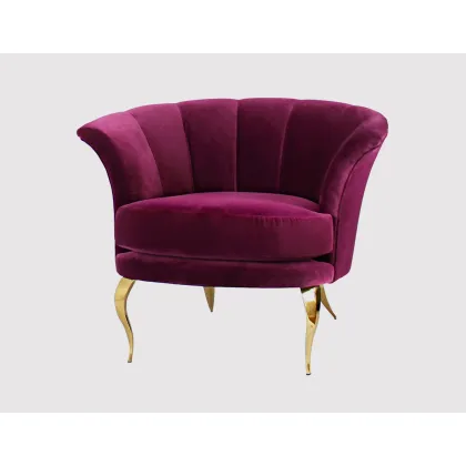 Picture Luxurious armchair for the living room