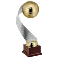 Zdjęcie Nietypowy puchar dla miłośników siatkówki