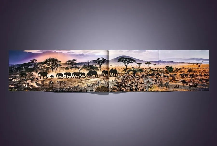 obrazek 24 Książka Stephen Wilkes. Day to Night. Art Edition No. 101–200 ‘Grand Canyon, Arizona, 2015’ - Taschen
