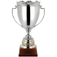 Zdjęcie Eleganckie trofeum sportowe z Włoch - stylowy puchar
