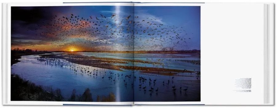 obrazek 5 Książka Dzień do nocy Stephen Wilkes. Day to Night - Taschen