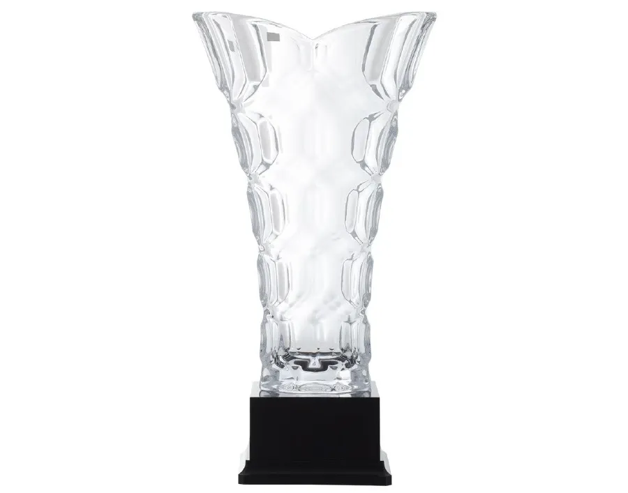 picture 1 Glass sports vase - Astra Argenti