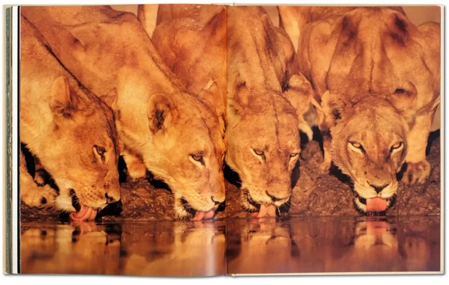 obrazek 9 Książka Frans Lanting. Eye to Eye - Taschen