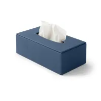 Picture Blue Atena tissue container