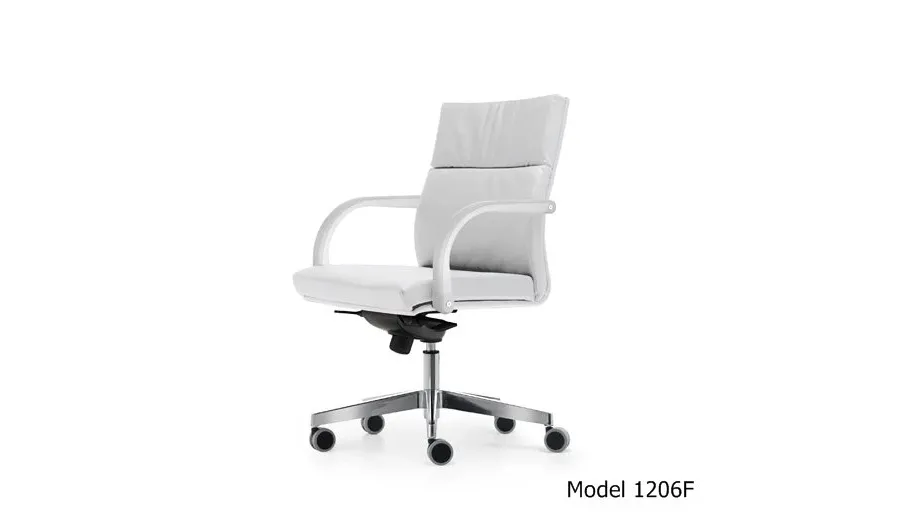 picture 1 Executives’ comfortable leather chair