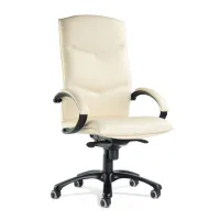 Picture Dubai armchair