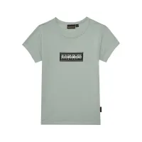 Zdjęcie Napapijri T-Shirt Chamois NP0A4ILE D Zielony Regular Fit