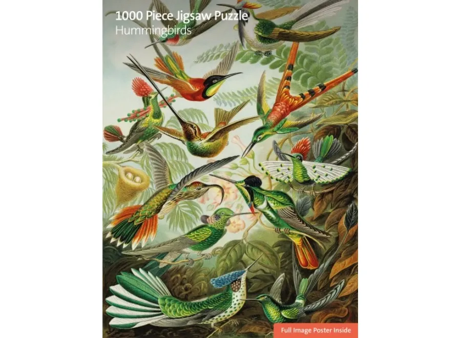 obrazek 1 Puzzle dla dorosłych V&A: Kolibry - Flame Tree Publishing