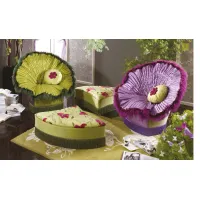 Picture Unique furniture for stylish interiors - Butterfly armchairs and pouf