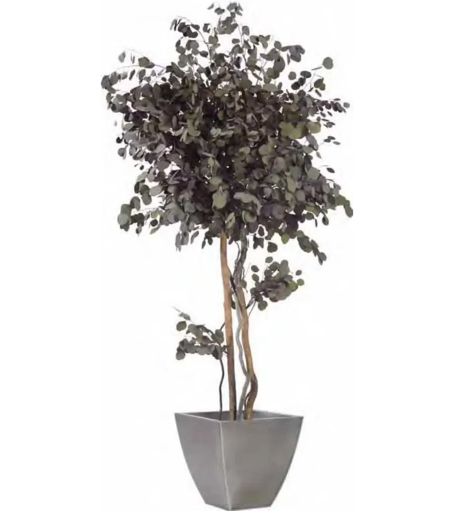 obrazek 1 Dekoracyjna kompozycja z ustabilizowanego populusu