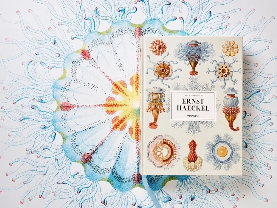 obrazek 3 Książka Sztuka i nauka Ernsta Haeckla - Taschen