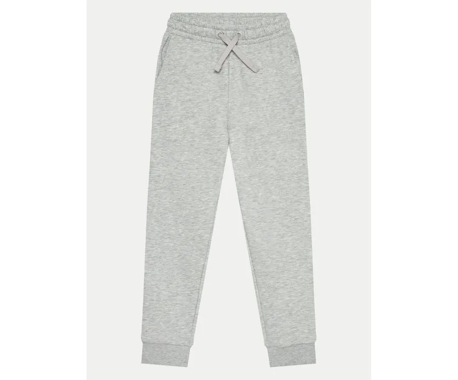 obrazek 1 4F Spodnie dresowe 4FJWMM00TTROF0828 Szary Regular Fit