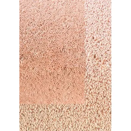 Picture Unconventional pink smooth carpet - TWINSET BORDER IN LOOP PILE 21302