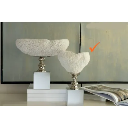 Picture Stylish small coral bowl on a nickel base