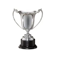 Picture Sports award in the form of a silver cup - various sizes