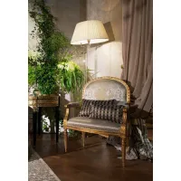 Picture Luxurious armchair with a pillow straight from Italy