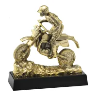 Picture Motocross statuette