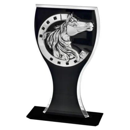 Picture Cup for horse competitions