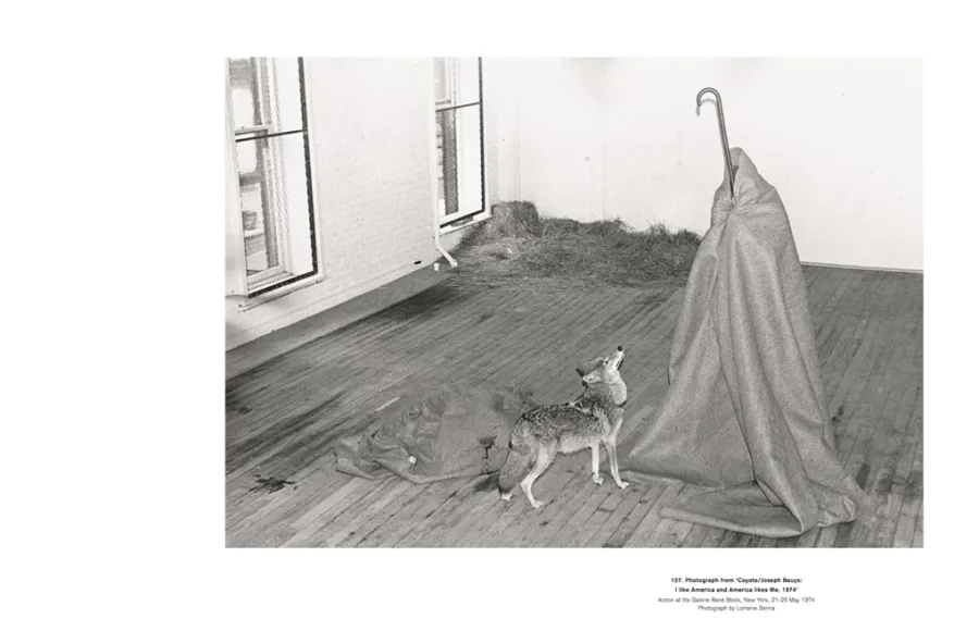 obrazek 7 Książka Niezbędny Joseph Beuys - Thames and Hudson
