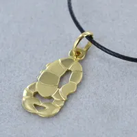 Picture Zodiac pendant