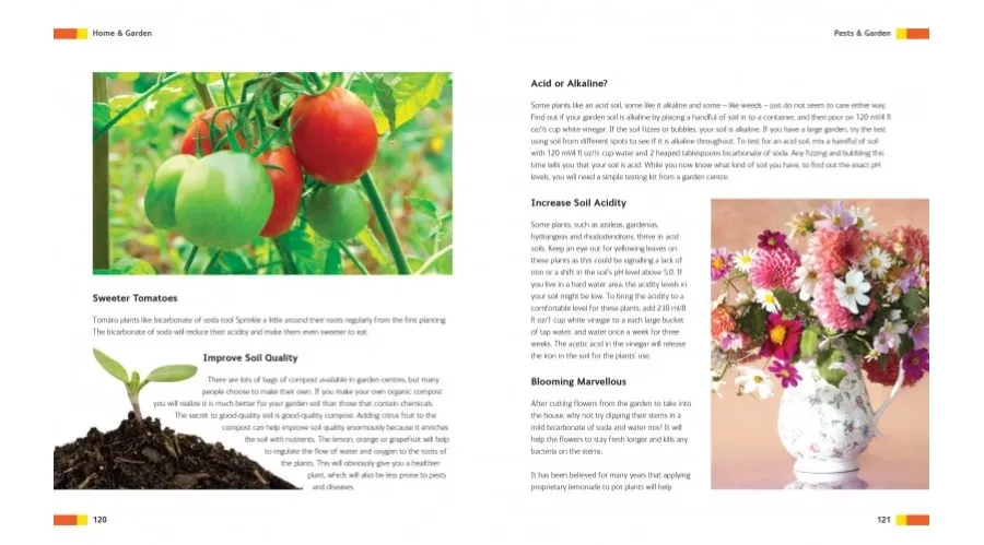 obrazek 3 Poradnik Porady domowe, naturalnie - Flame Tree Publishing