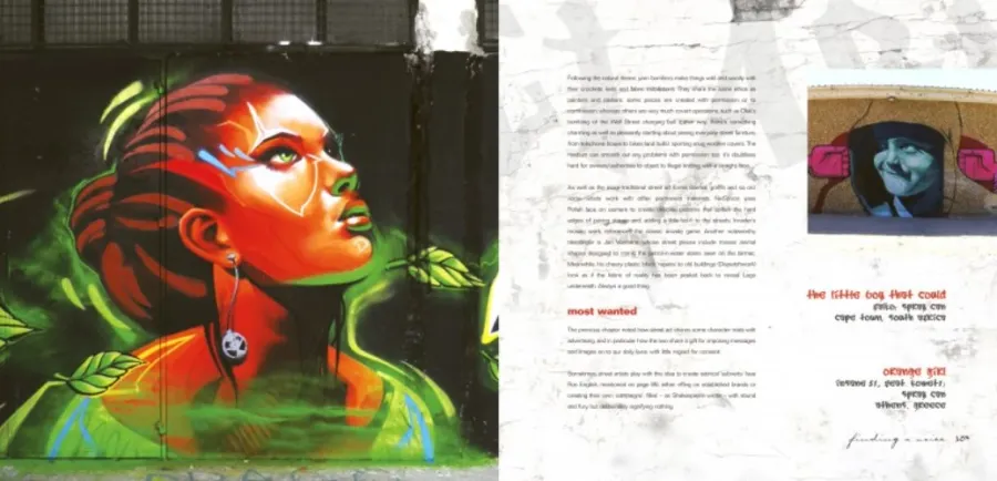 obrazek 4 Książka Sztuka uliczna - Flame Tree Publishing