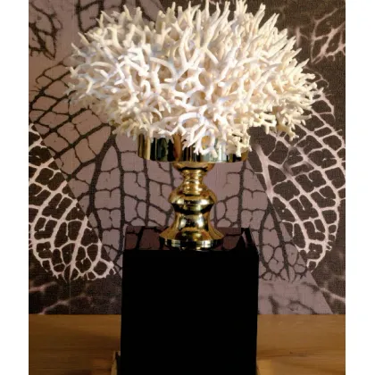 Picture A phenomenal balloon decoration - coral on a black base