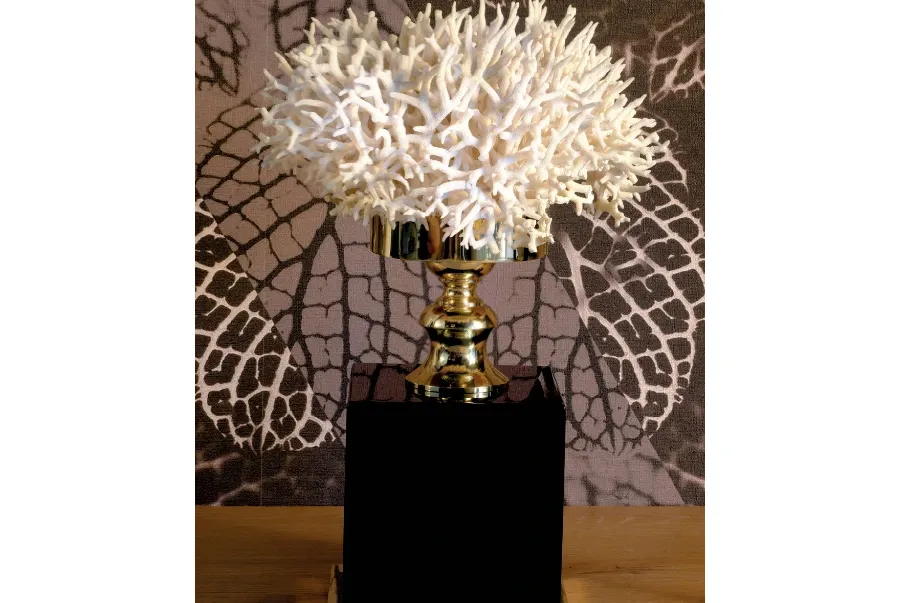 obrazek 1 Zjawiskowa dekoracja salonowa - koral na carnej podstawie