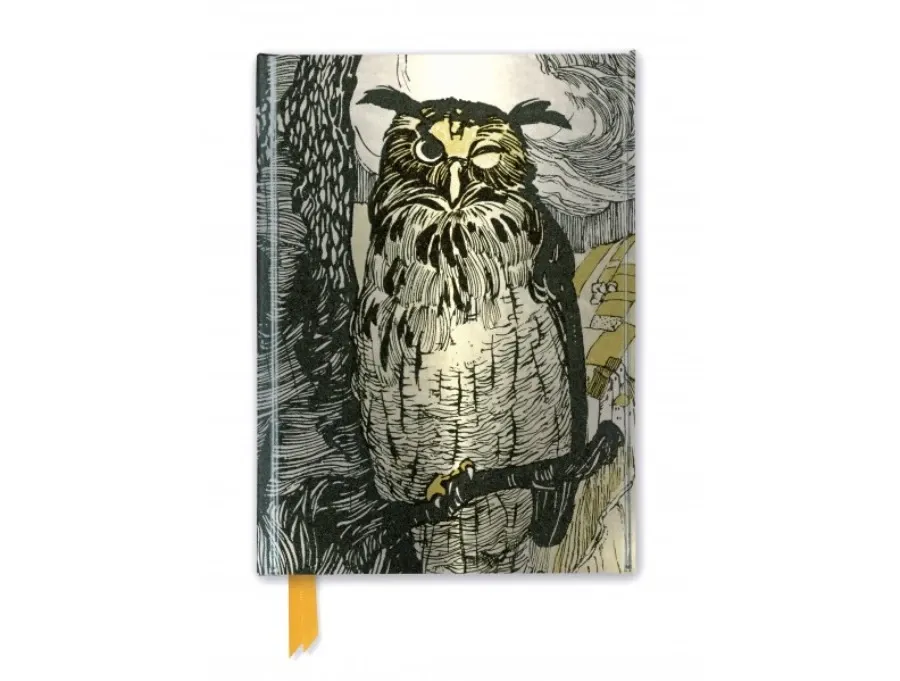 obrazek 1 Dziennik (Grimm's Fairy Tales: Mrugająca Sowa) - Flame Tree Publishing