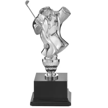 Zdjęcie Nagroda dla golfisty