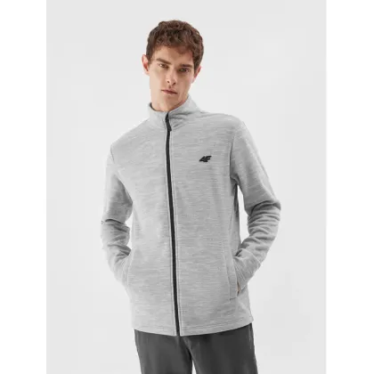 Zdjęcie 4F Polar 4FAW23TFLEM120 Szary Regular Fit