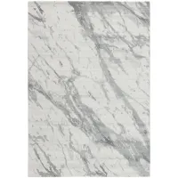 Picture Beautiful and gray exclusive carpet - TEMPTATION 8098