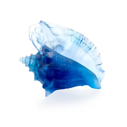 Zdjęcie Piękna stylowa muszla inspirowana muszlami z Morza Koralowego