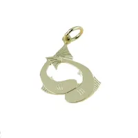 Picture A brilliant pendant with the Pisces zodiac sign