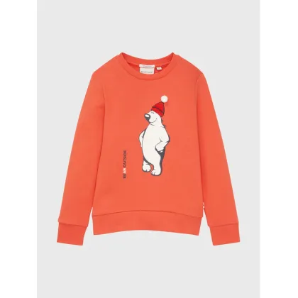 Zdjęcie Tom Tailor Bluza 1033840 Pomarańczowy Regular Fit