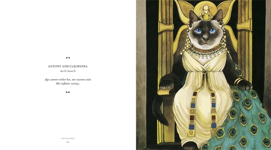obrazek 9 Książka Cats Galore Kompendium Hodowanych Kotów - Thames & Hudson