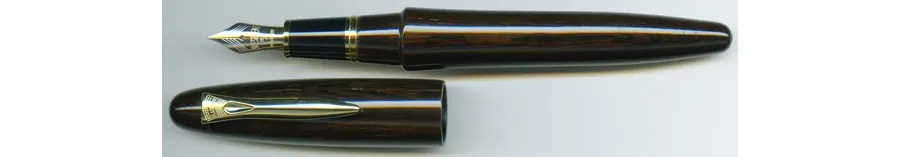 obrazek 1 Luksusowe Pióro Wieczne Platinum Izumo Gloss-Tagayasan