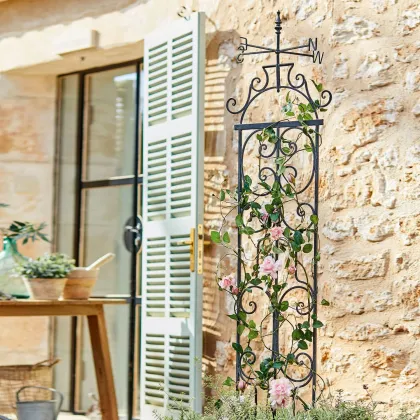 Zdjęcie Treliaż Cyrille