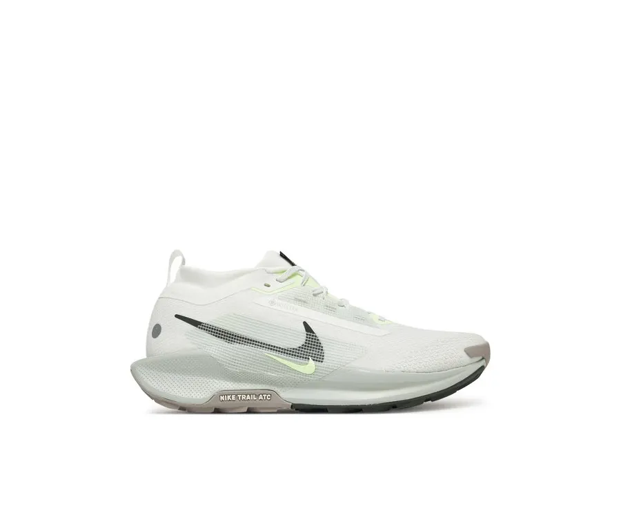 obrazek 1 Nike Buty do biegania Pegasus Trail 5 Gtx GORE-TEX FQ0908 Biały