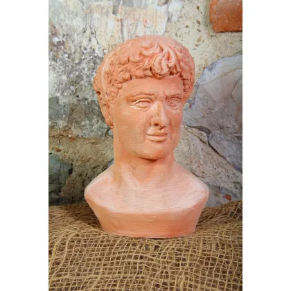 Picture Bust of David made of clay - Fornace Masini