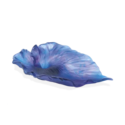 Zdjęcie Piękna kwiatowa misa Arum w kolorze Midnight Blue