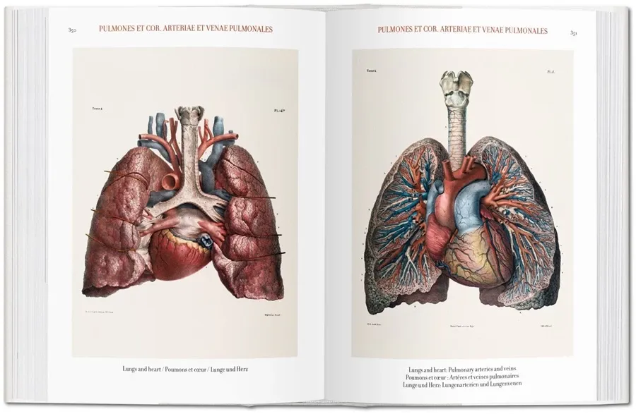 obrazek 3 Książka Jean Marc Bourgery. Atlas anatomii i chirurgii człowieka - Taschen